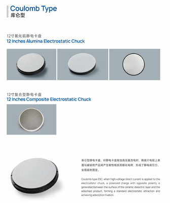 Elettrostatico Chuck ESK In semiconduttore industria standard