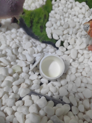 Parti industriali di ceramica Crogiolo per nitruro di boro
