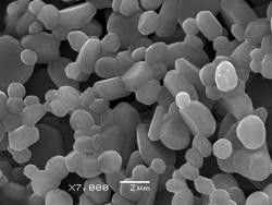 L'alta ceramica 1-2um dell'ossido di alluminio della bianchezza 99,7% ha calcinato Aluminas