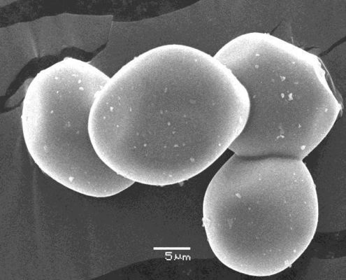 L'allumina di Subglobular di densità verde spolverizza la polvere di 8-10um Al2o3
