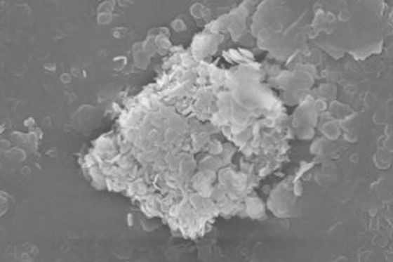 POLVERE DEL NITRURO DI BORO APPLICATA A MATERIALE REFRATTARIO E SUPERHARD DI PRIMA SCELTA