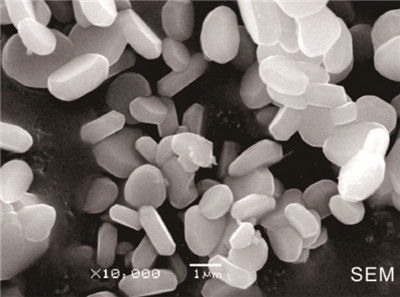 Buona polvere dell'allumina di elevata purezza della ceramica dell'ossido di alluminio di disperdibilità 99,95%