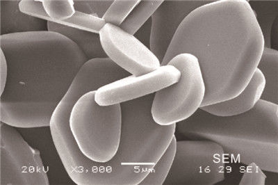 piastrina ceramica dell'ossido di alluminio 0.8g/Cm3 della ceramica del wafer dell'allumina bianca della macinazione